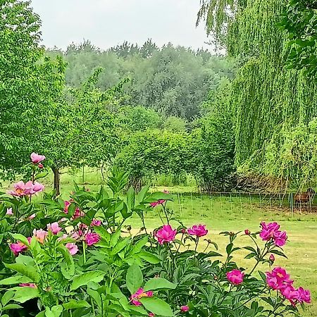 Les Chambres Du Vert Galant Rez De Jardin Verlinghem Exterior foto